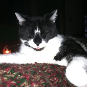 Meet your Posher, Kelly